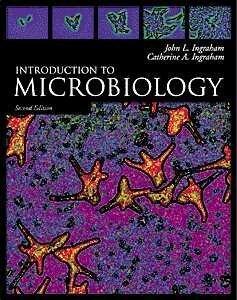 Introduction to Microbiology