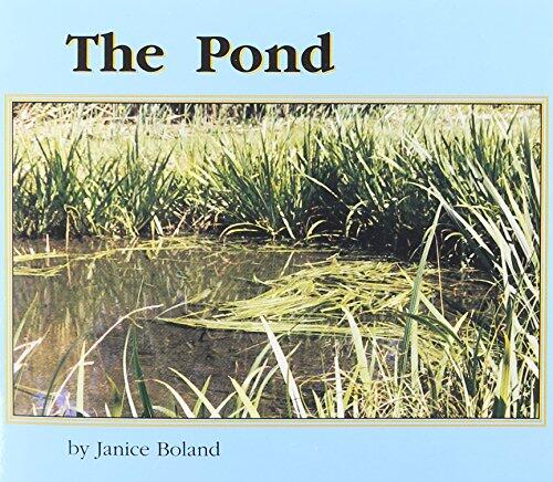 The Pond