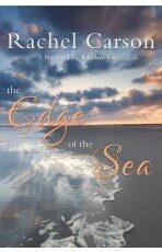 The Edge of the Sea