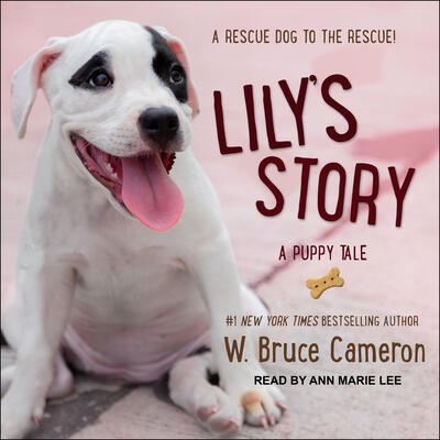 Lily's Story: A Dog's Purpose Novel