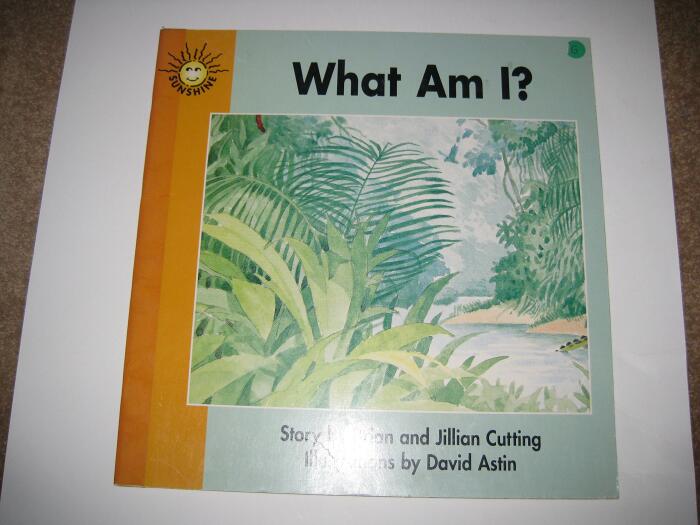 Big Book - What Am I?