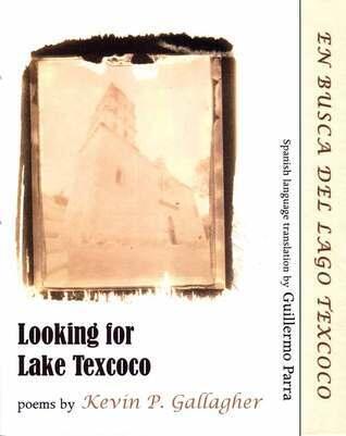 Looking for Lake Texcoco