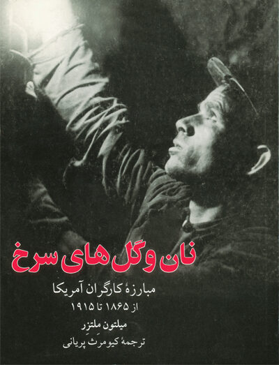 نان و گل های سرخ - مبارزه کارگران آمریکا از 1865 تا 1915