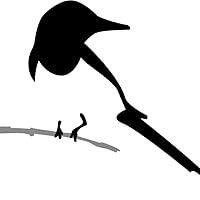 Cori Vidae