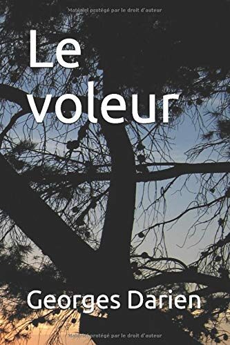 Le voleur