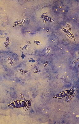 On Shine Wings