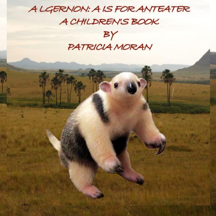 ALGERNON: A IS FOR ANTEATER