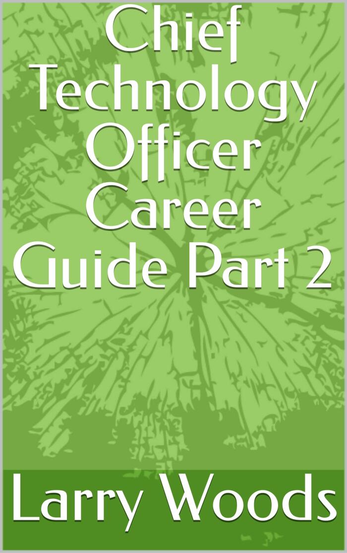 Chief Technology Officer Career Guide Part 2