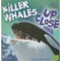 Killer Whales Up Close