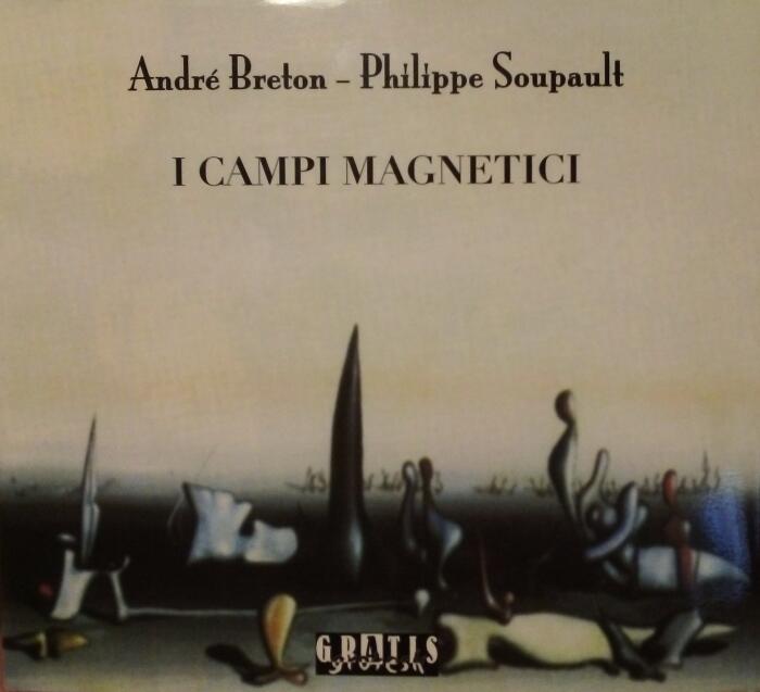 I Campi Magnetici