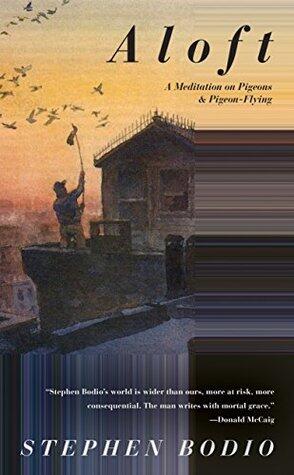 Aloft: A Meditation on Pigeons & Pigeon-Flying