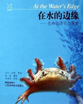 在水的边缘：生命的进化与演变