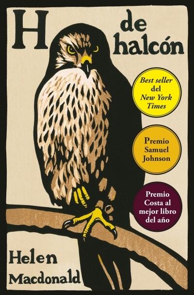 H de Halcón
