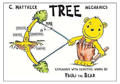 Tree Mechanics Explained with Sensitive Words