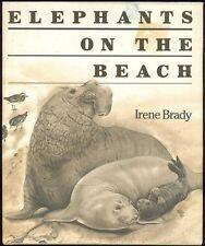Elephants on the Beach