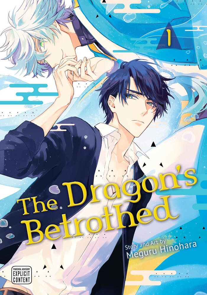 The Dragon's Betrothed, Vol. 1