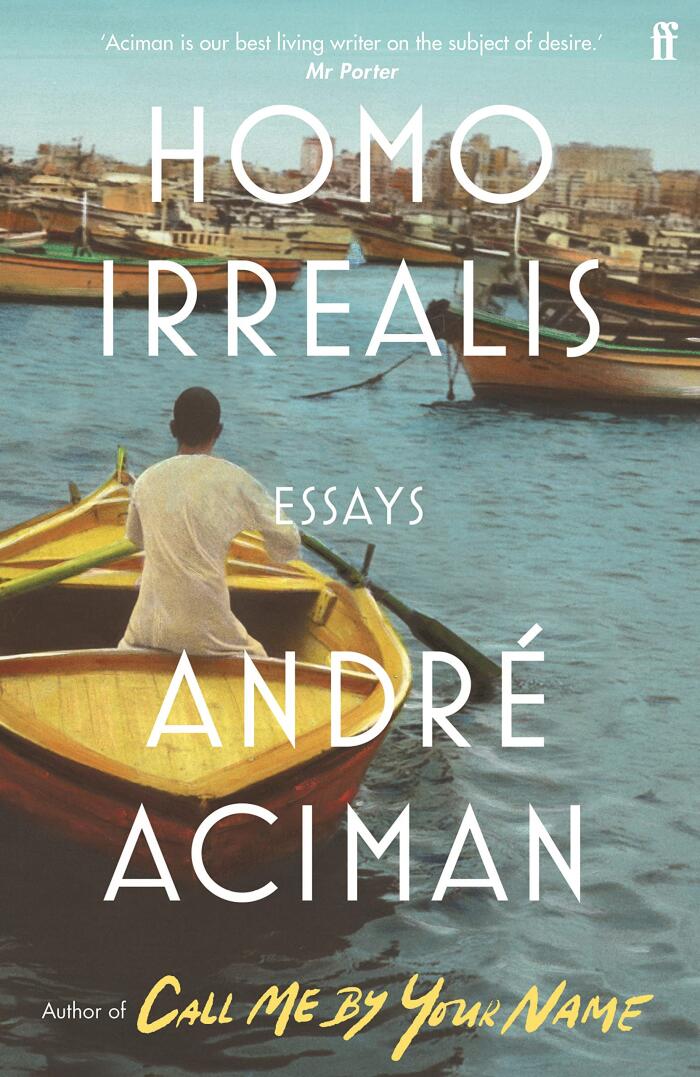 Homo Irrealis: From the multi-million copy bestselling author of Call Me By Your Name