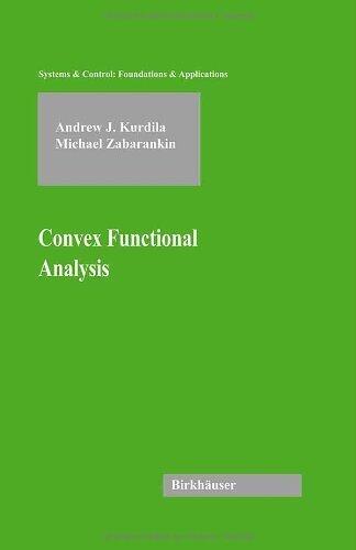 Convex Functional Analysis (Systems & Control: Foundations & Applications)