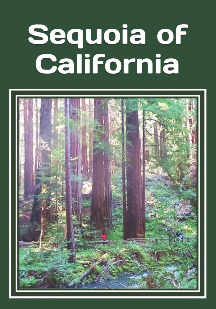 Sequoia of California: An extra-large print senior reader classic natural history and travel book - plus coloring pages