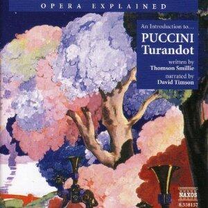 Turandot: Opera Explained