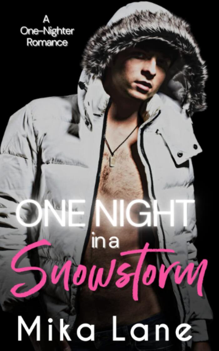 A One-Nighter Romance
