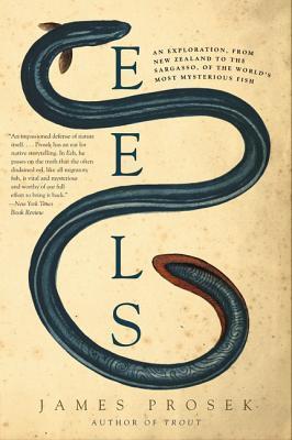 Eels: An Exploration, from New Zealand to the Sargasso, of the World's Most Mysterious Fish - A Natural History of Biology, Culture, and Conservation
