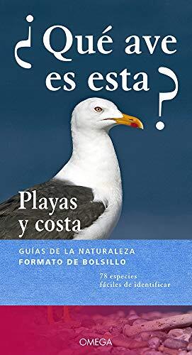 ¿Qué Ave es Esta?: Playas y Costa