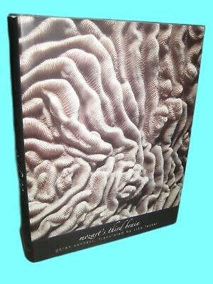 Rare Antique Mozart's Third Brain Goran Sonnevi Poetry 1st Edition First Printing Poems Yale [Hardcover] Goran Sonnevi