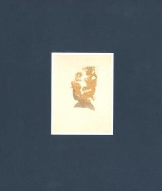 Lorna Simpson: Works on Paper
