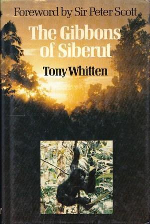 The Gibbons of Siberut