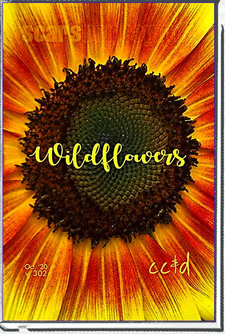 Wildflowers: cc&d Magazine Vol 302, October 2020