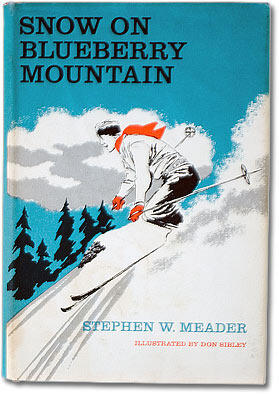 Snow on Blueberry Mountain