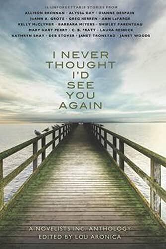 I Never Thought I'd See You Again: A Novelists Inc. Anthology