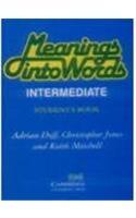 Meaning into Words