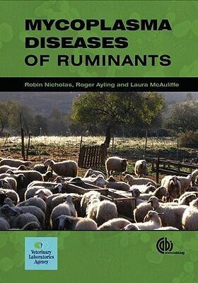Mycoplasma Diseases of Ruminants: Disease, Diagnosis and Control