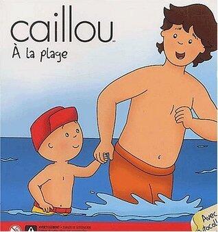 Caillou à la plage