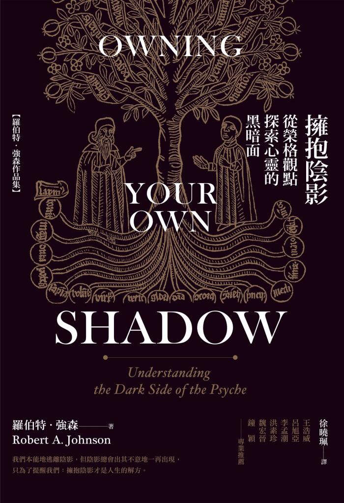 擁抱陰影：從榮格觀點探索心靈的黑暗面
