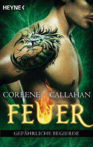Feuer - Gefährliche Begierde: Feuer 3