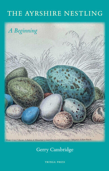 The Ayrshire Nestling: A Beginning