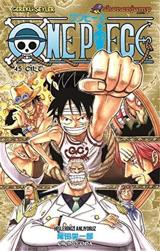 One Piece (Volume 45)