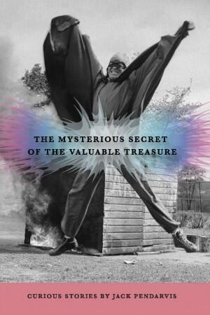 The Mysterious Secret of the Valuable Treasure: Curious Stories by Jack Pendarvis
