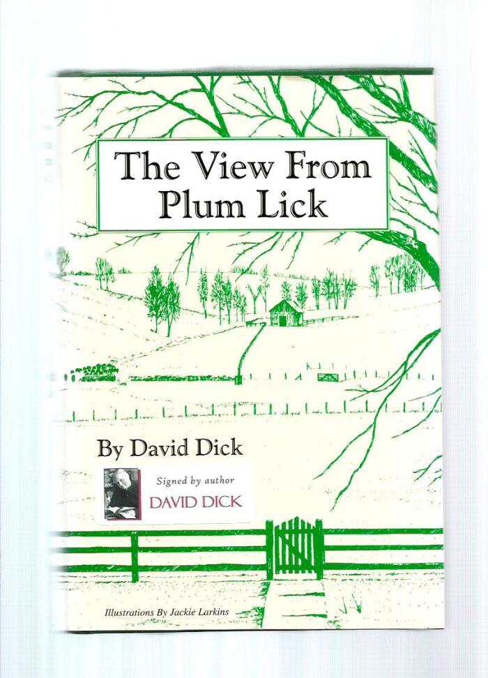 The View from Plum Lick