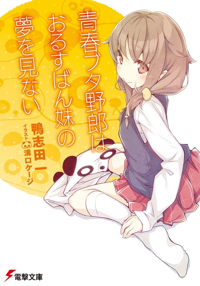 Rascal Does Not Dream of... Light Novel
