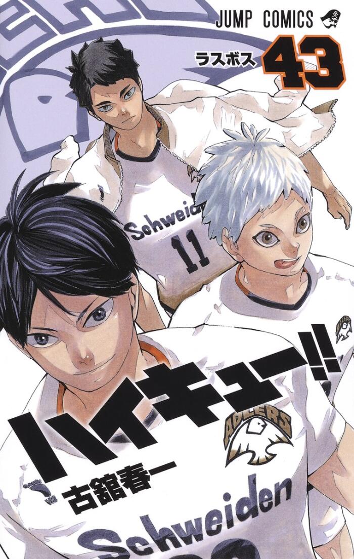 Haikyū!! (43)