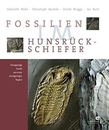 Fossilien im Hunsrück Schiefer: Einzigartige Funde aus einer einzigartigen Region