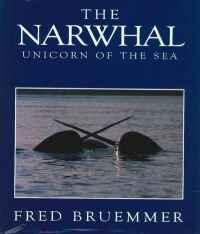 The Narwhal: Unicorn of the Sea
