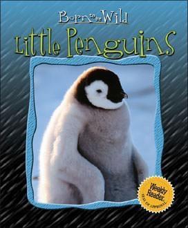 Little Penguins