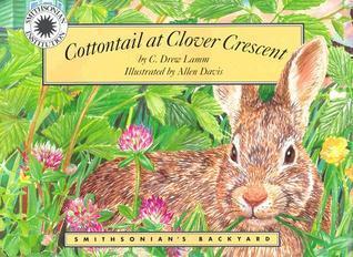 Cottontail at Clover Crescent