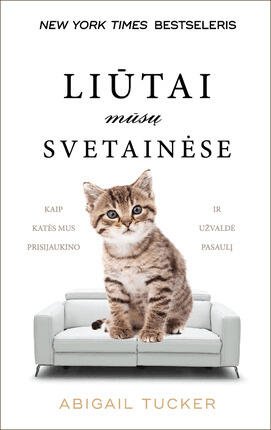 Liūtai Mū sų Svetainėse: Kaip Katės Mus Prisijaukino ir Užvaldė Pasaulį