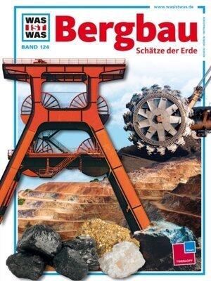Was ist was, Band 124: Bergbau. Schätze der Erde